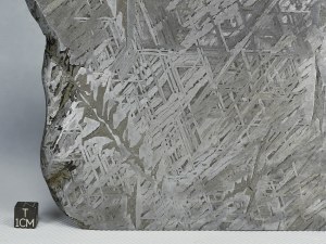 Aletai-IIIE-1207g-d