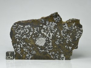 El-Eglab-Meso-81g-2
