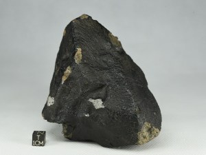HED-1224g-1