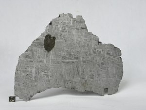 Muonionalusta-IVA-2596g-end-piece-5