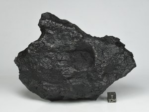 Saint-Aubin-end-piece-1.2kg-a