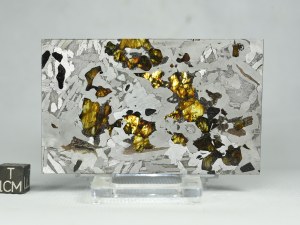Seymchan-PAL-67g-b