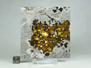 Seymchan-PAL-82g-a