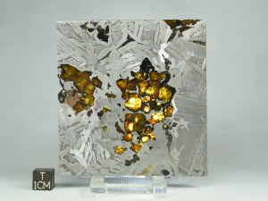 Seymchan-PAL-82g-b