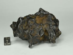 Sikhote-Alin-424-a