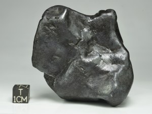 Sikhote-Alin-IIB-510g-a